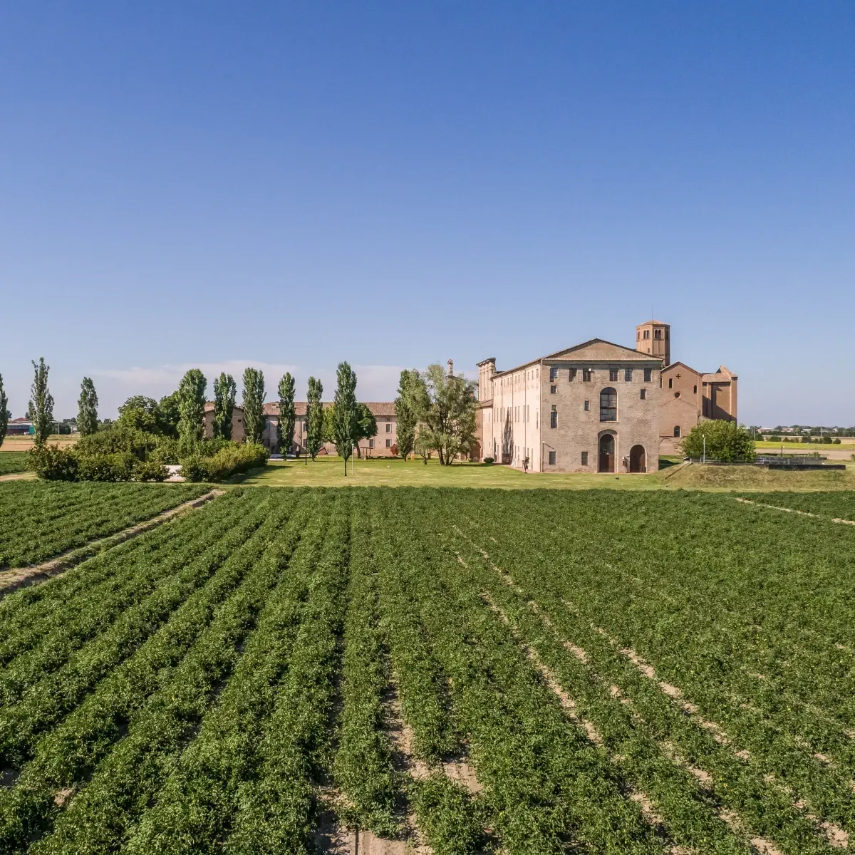 greci_industria_alimentare_valori_territorio-per-ristorazione