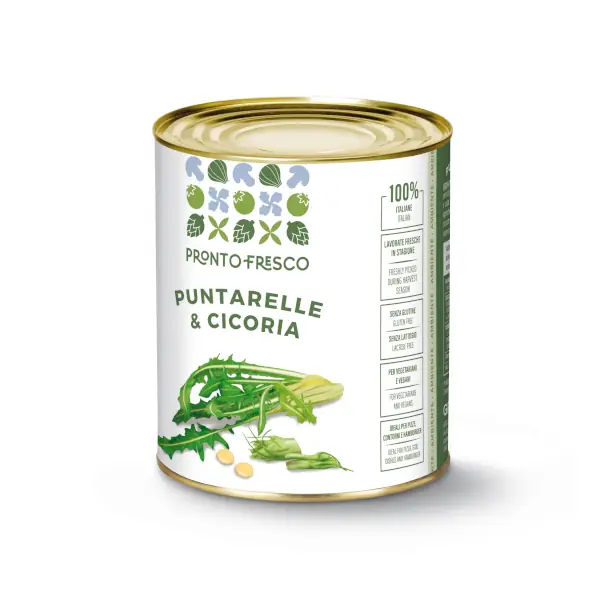 Puntarelle and chicory for Foodservice - 2